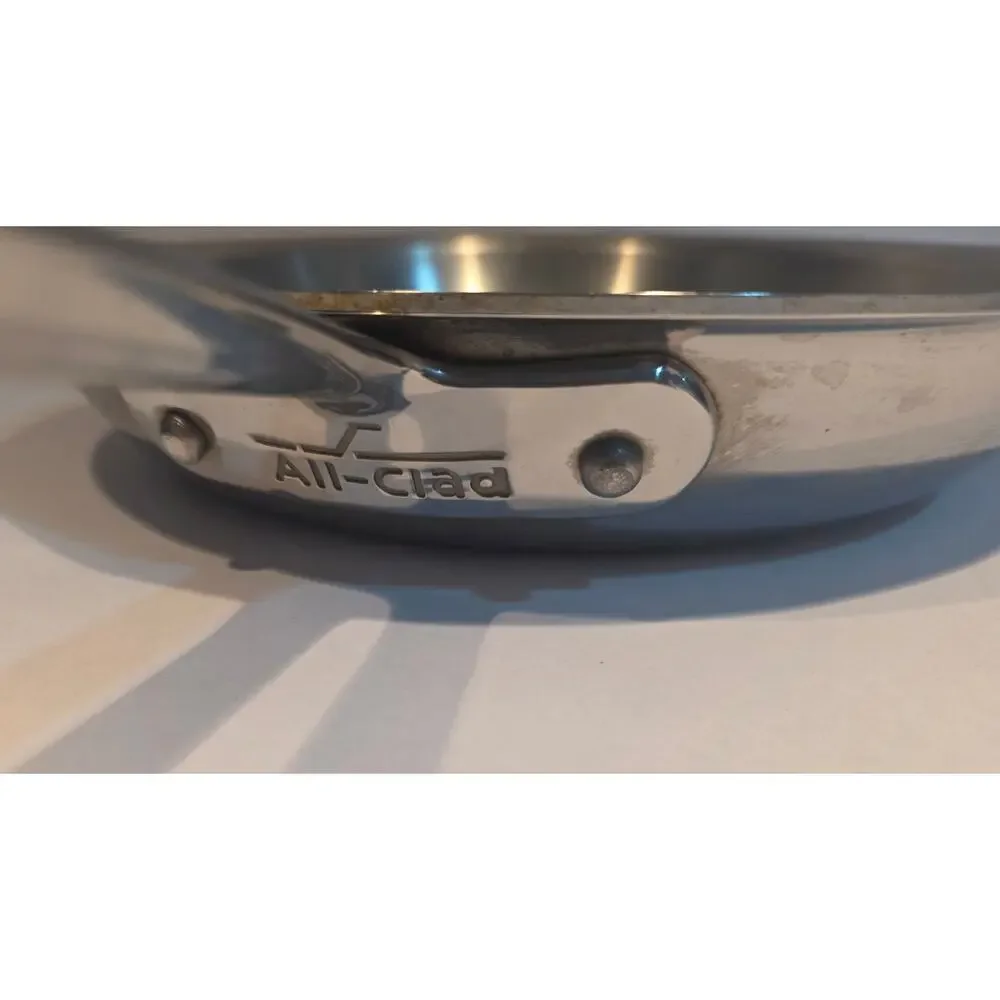 All-Clad Stainless Steel Fry Pan Skillet 10